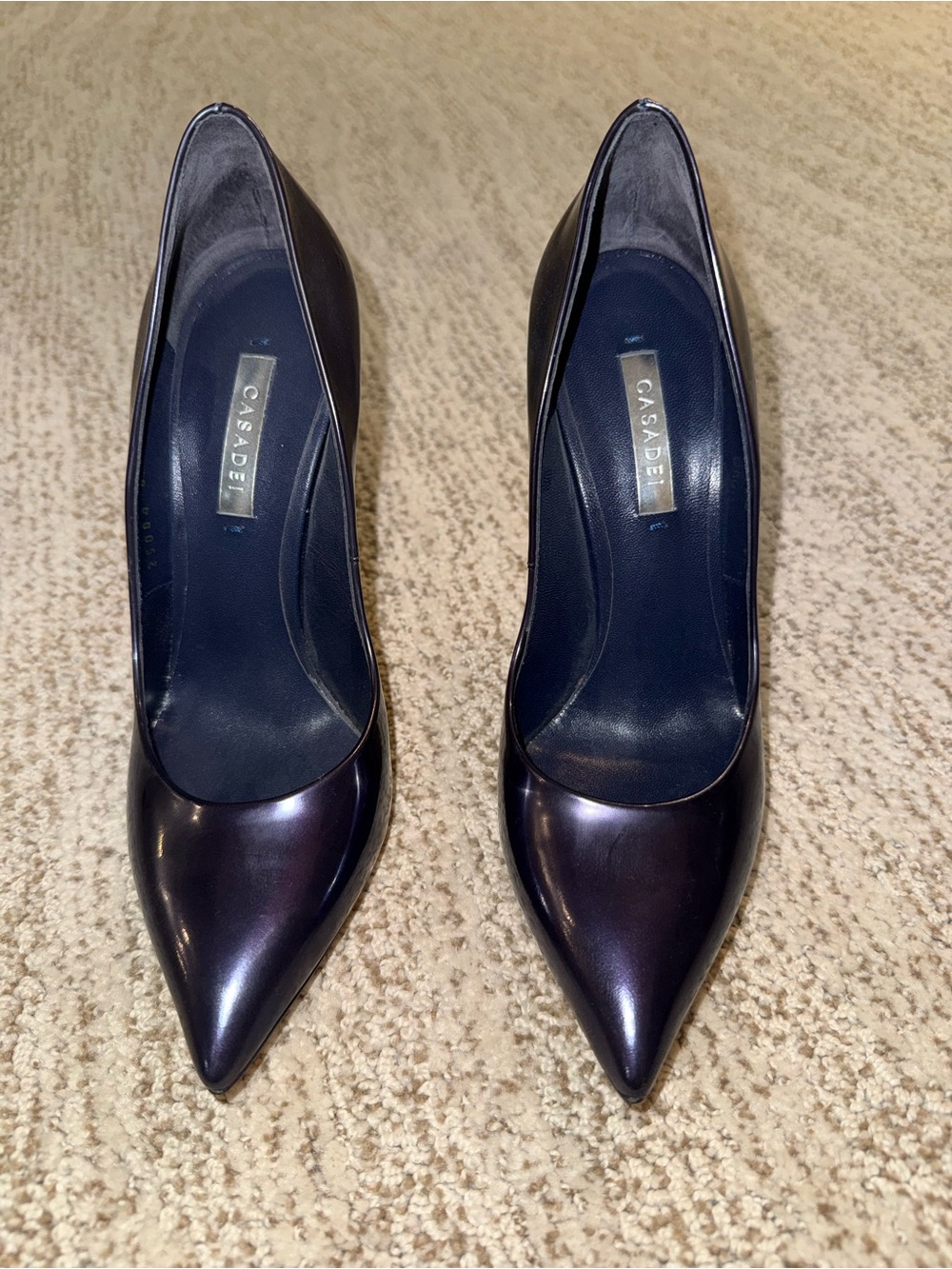 Casadei Women's Pointed Toe Pumps in Iridescent Navy Purple